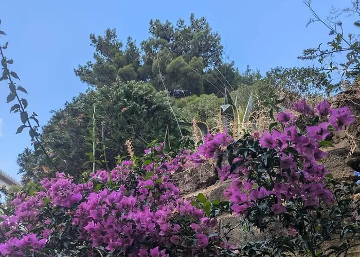 Terra Mia Διαμέρισμα