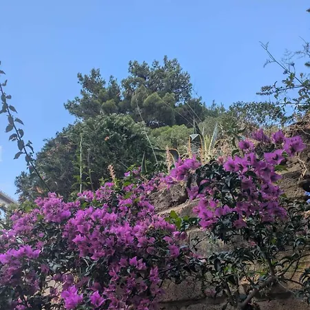 Terra Mia Appartamento